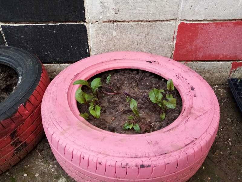 Neumático reciclado