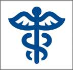 ícono clickeable que lleva la sección de salud